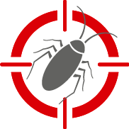Mouse Fumigation Pros