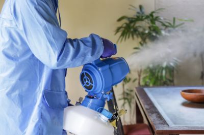 Commercial Fumigation in Ann Arbor, MI