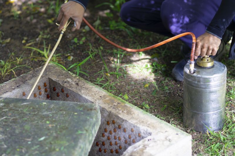 Roach Fumigation in Fayetteville, NC