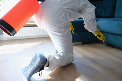 Commercial Fumigation in Davis County, UT