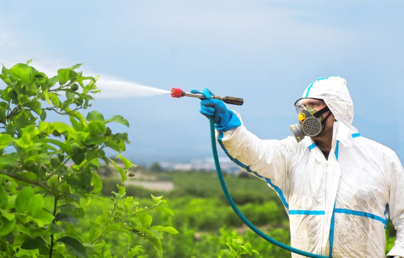 Fumigation Service in Fredericksburg, VA