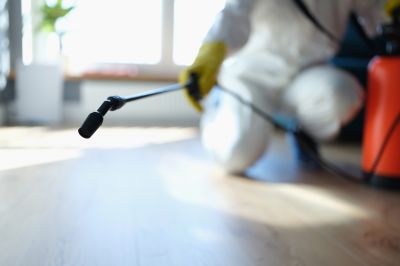 Pest Fumigation Service in San Jose, CA