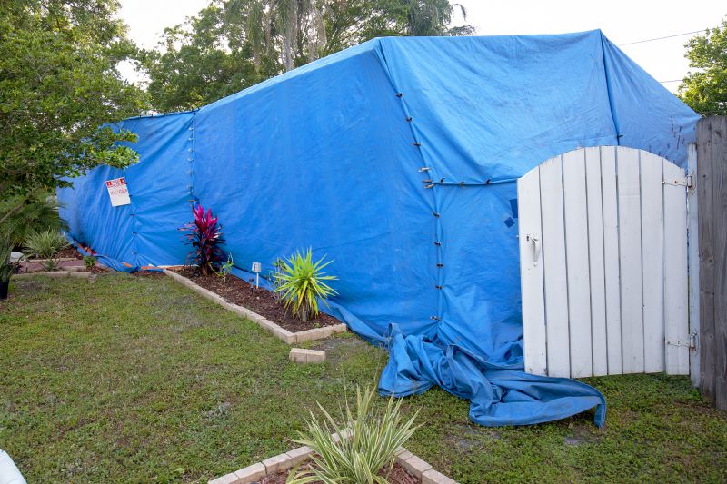 Termite Tenting in Fort Collins, CO